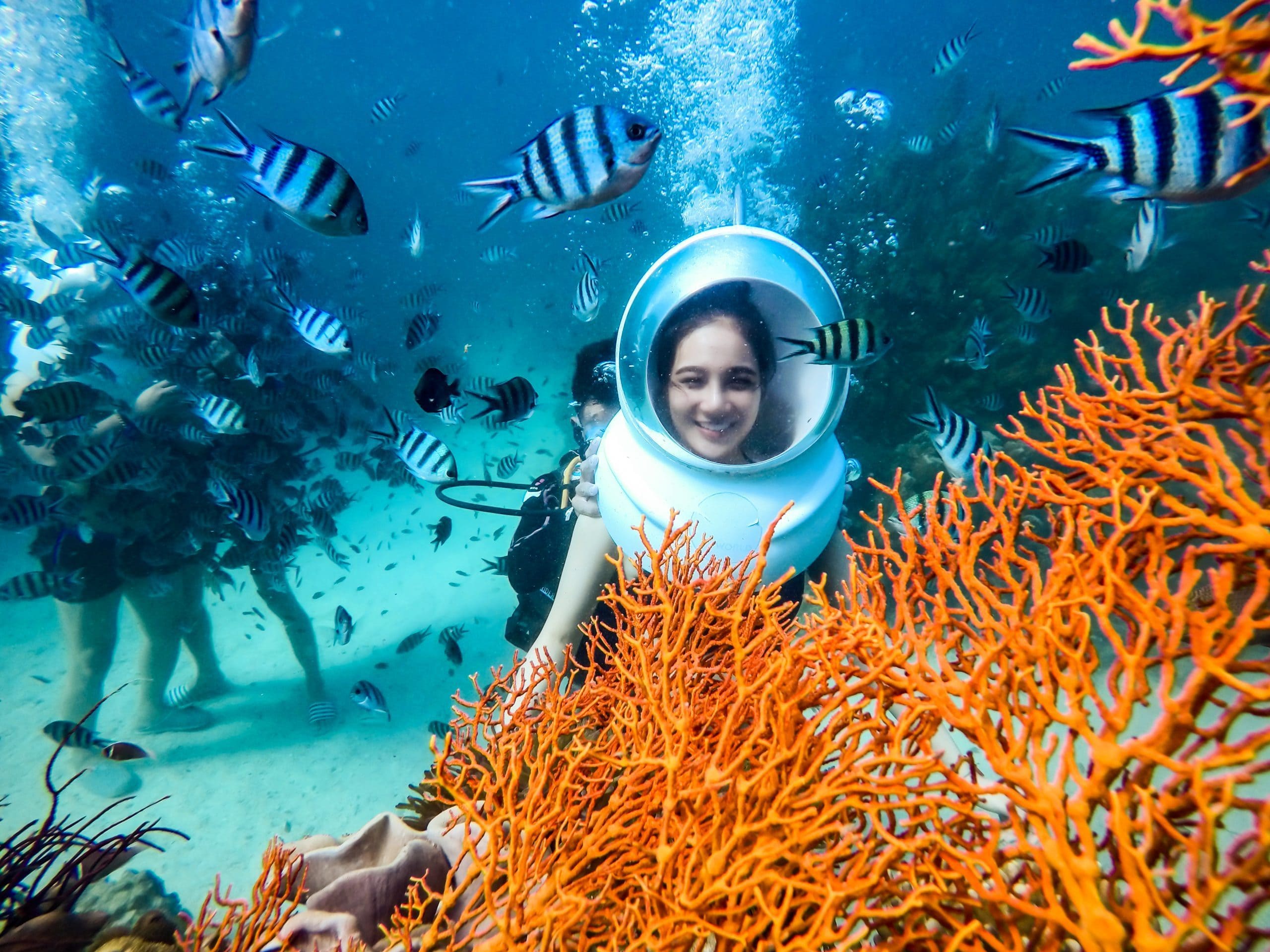 Lặn san hô tại Phú Quốc